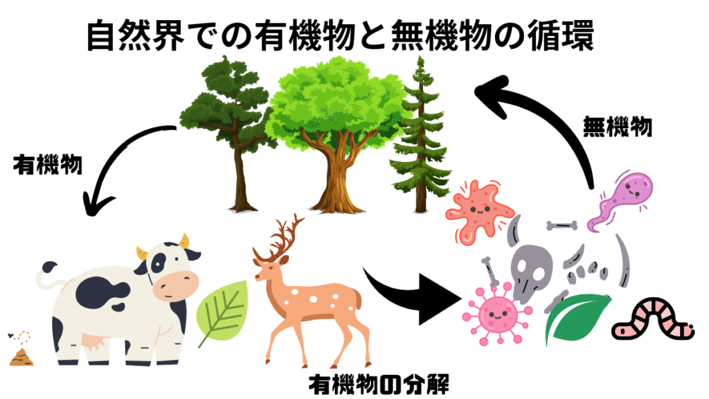 自然界での有機物と無機物の循環