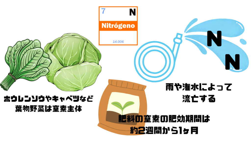 窒素肥料の特徴1