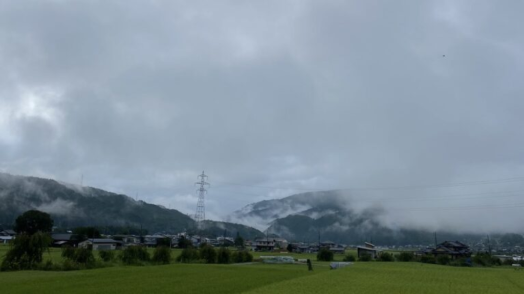 梅雨の風景